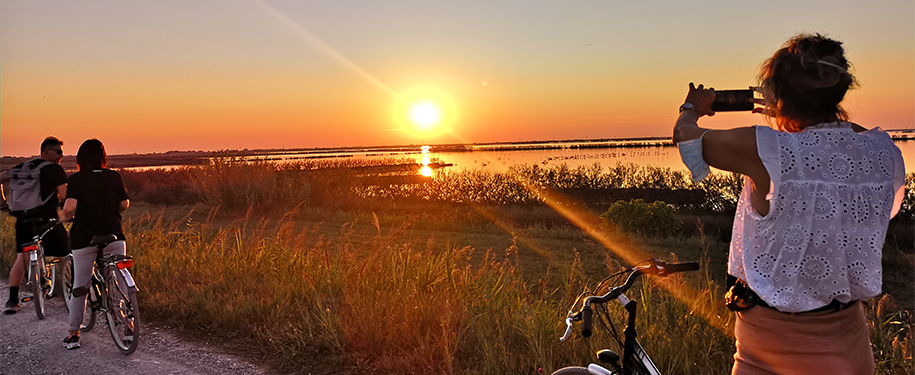 Tour ad anello in bici tra la natura